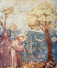 Giotto - art